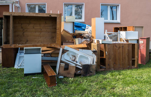 Best Electronics Removal Services  in Lakeview, MI