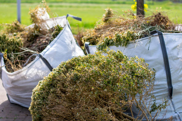 Best Appliance Removal Near Me  in Lakeview, MI