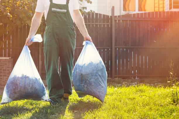 Best Basement Cleanout Services  in Lakeview, MI